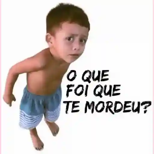 SIGA INSTAGRAM