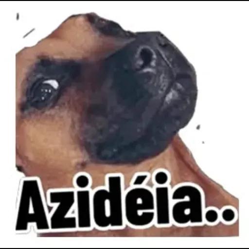 Adesivos divertidos