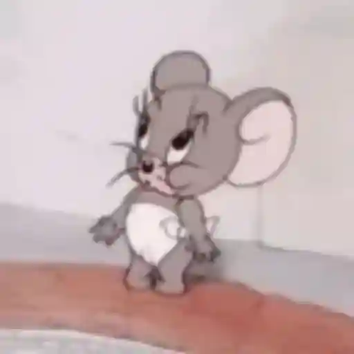 mister
