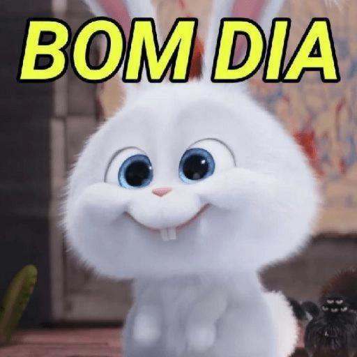 fvgggccf