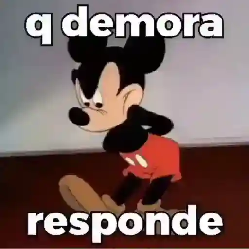 certo 