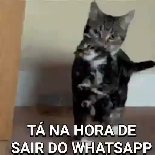 boa noite