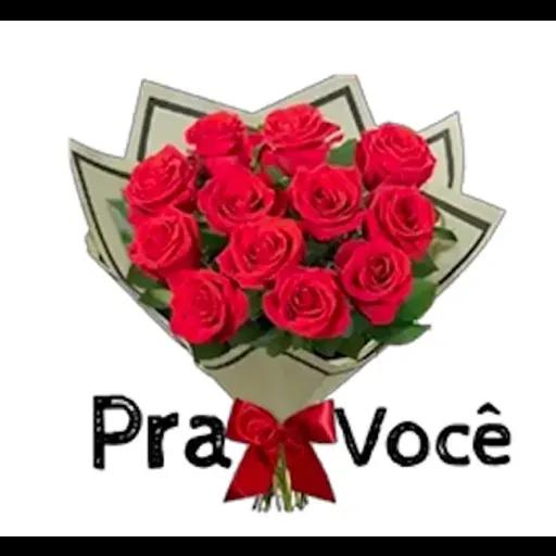 Lindos adesivos