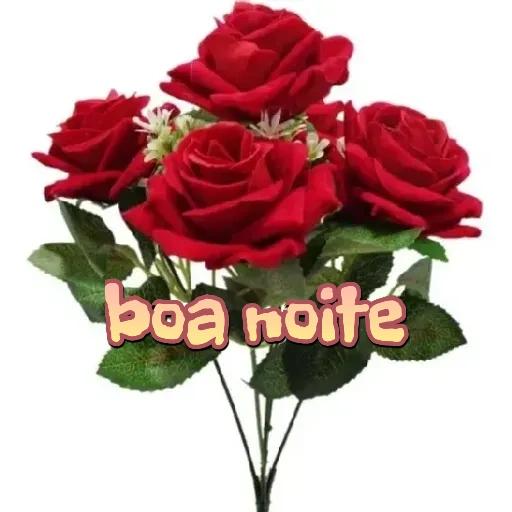 Boa noite 