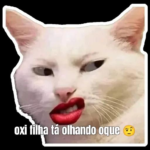 memes 