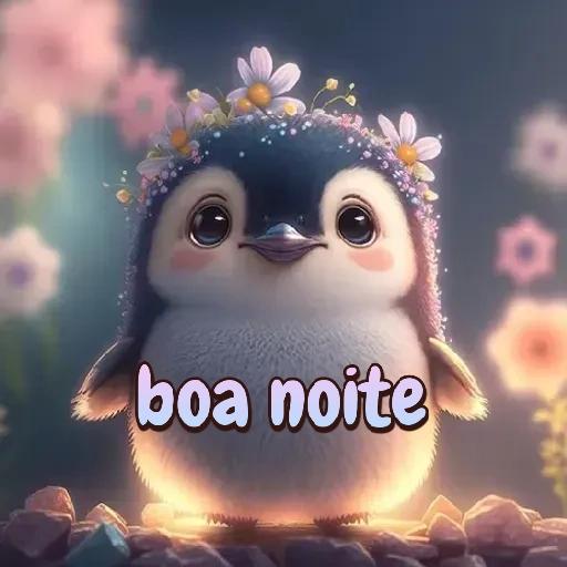 Boa noite 