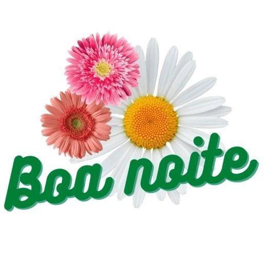 figurinhas de boa noite