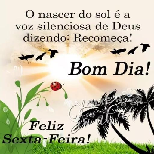 BOM DIA