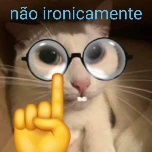 rapaz, ele tá sem zap