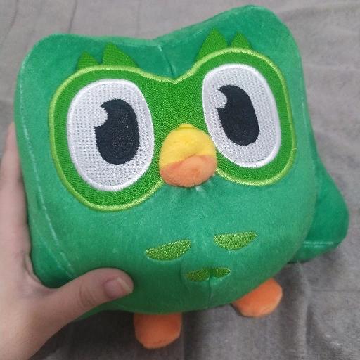 Duolingo🦉💚