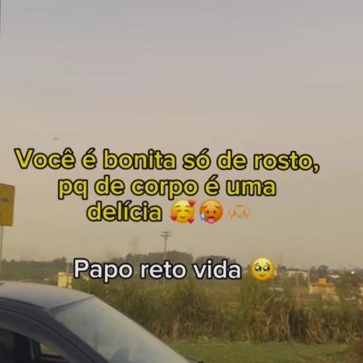 gatinho