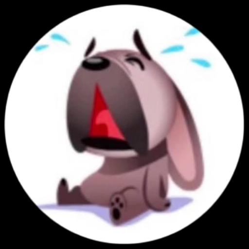 cachorros esquisitos facebook