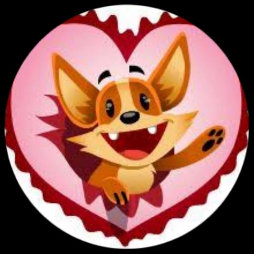 cachorros esquisitos facebook