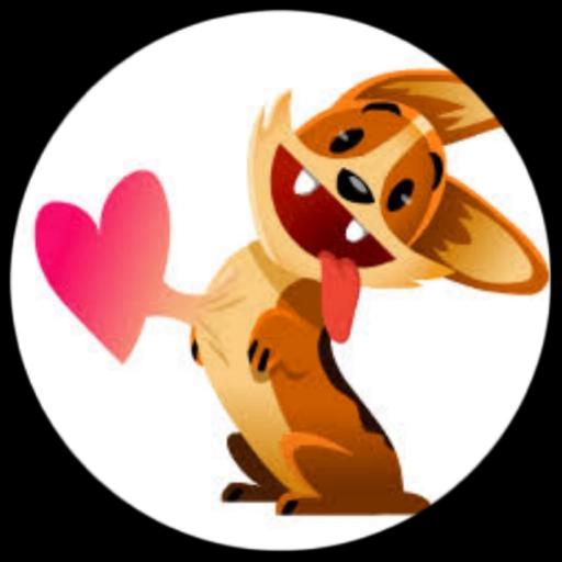 cachorros esquisitos facebook