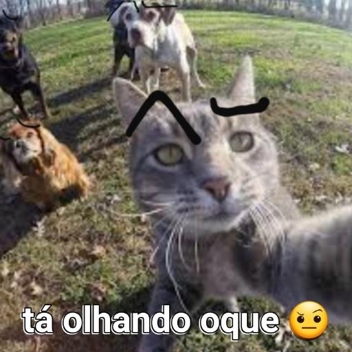 tá olhando oque