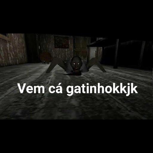 zoeira