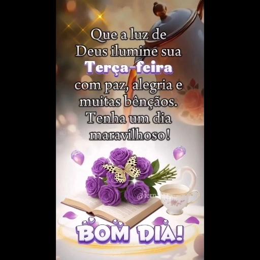 Boa • Noite