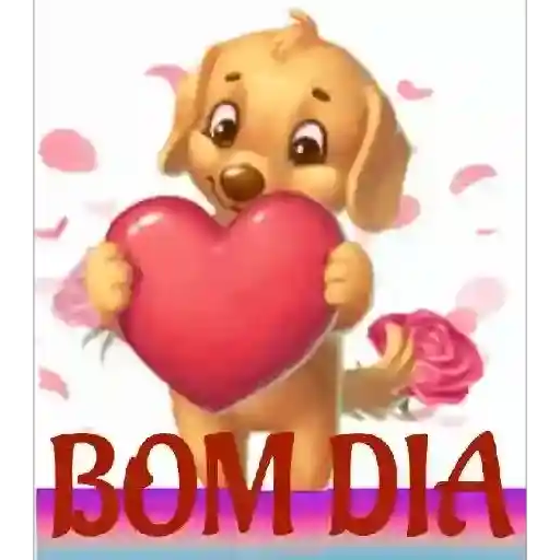 Kiko 8..5