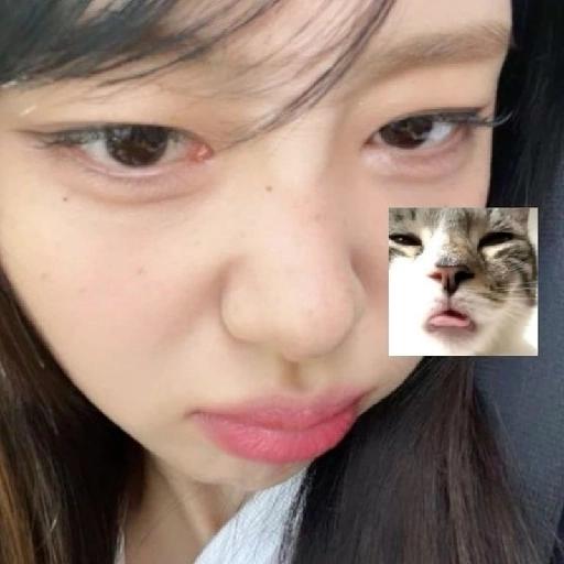 kpop 6