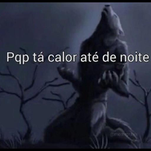 zoeira