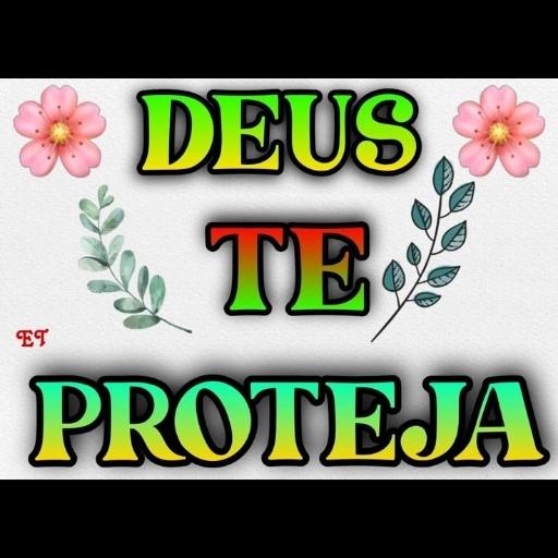bom dia 