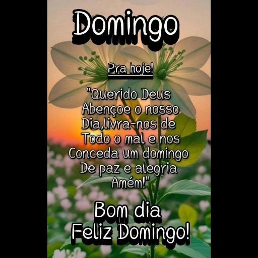 Boa • Noite