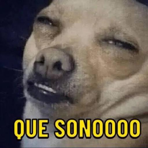 vc é mau comigo