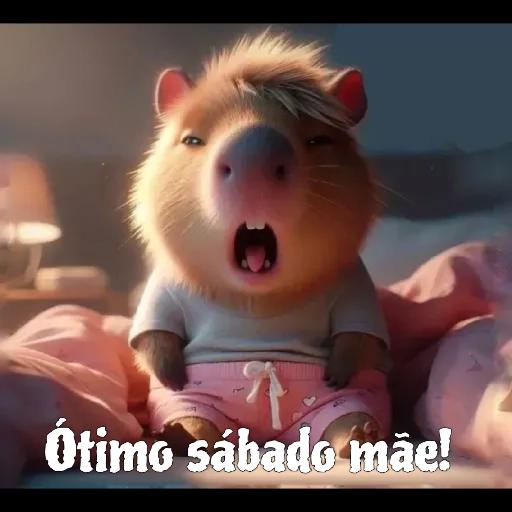 BOM DIA!