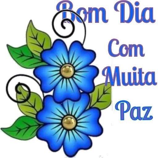 bom dia 