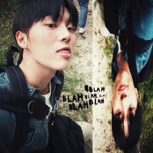 kpop 6