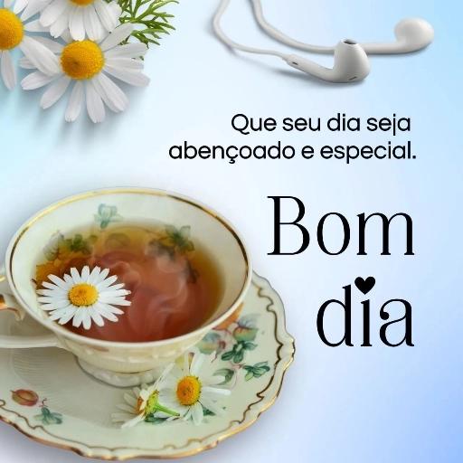 Boa • Noite