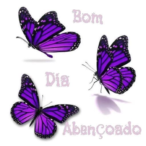 Deus abençoe sua noite!