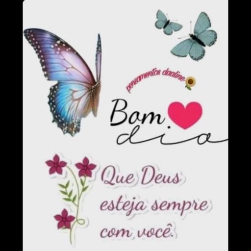 Boa • Noite