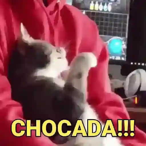 Boa Noite
