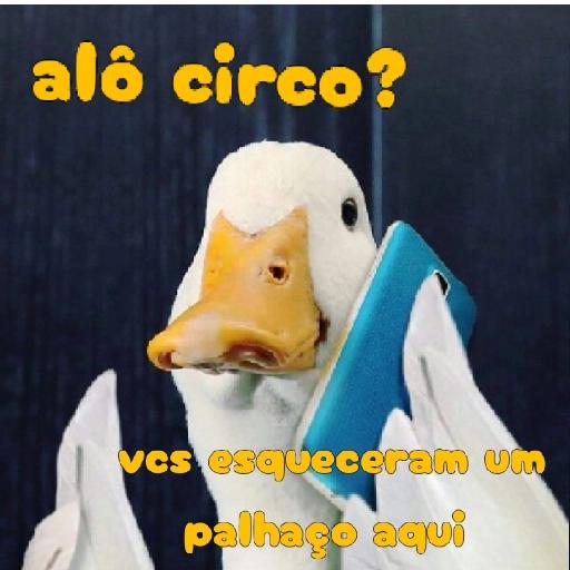 patinho