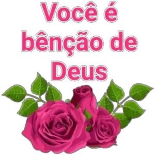 bom dia 