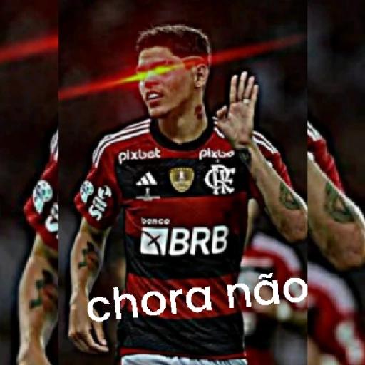 FLAMENGO