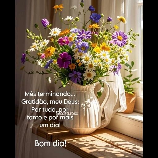Boa • Noite