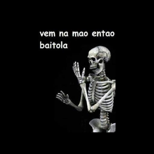 zoeira