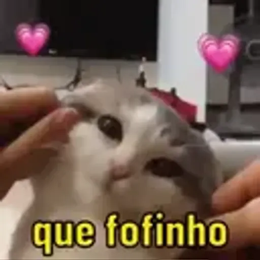 play_circle_outline Alguns memes