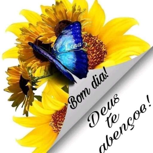  BOA
NOITE!