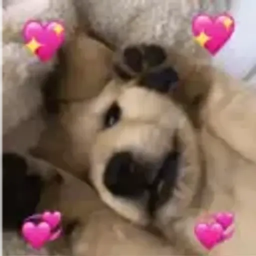 play_circle_outline Alguns memes