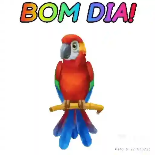 passarinho