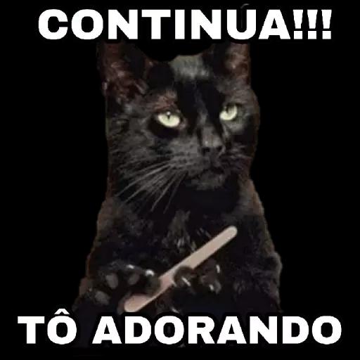  CONTINUA!!!
TÔ ADORANDO
