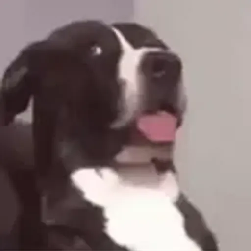 play_circle_outline Alguns memes