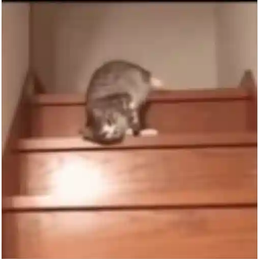 Boa Noite