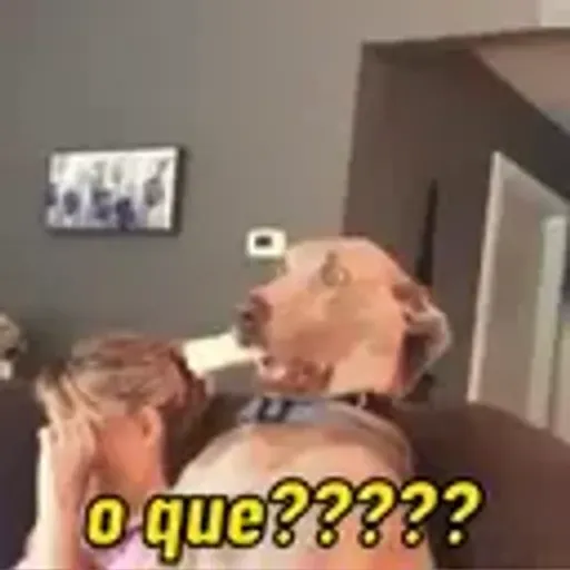 play_circle_outline Alguns memes