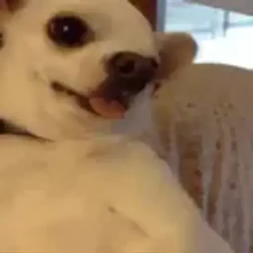 play_circle_outline Alguns memes