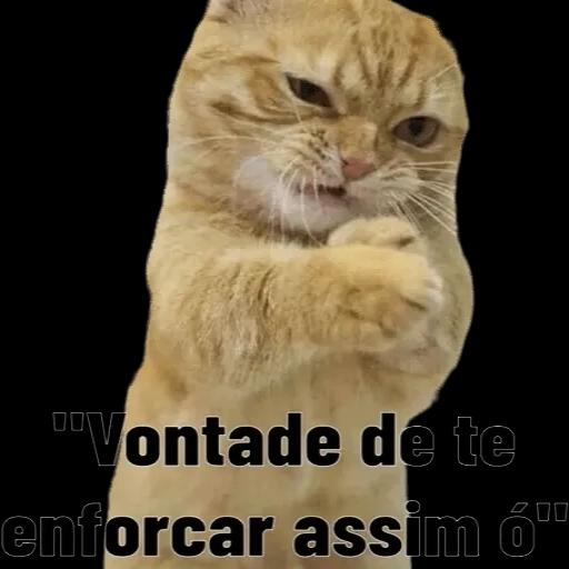 Adesivos divertidos