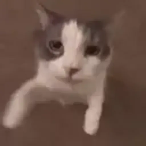 play_circle_outline Alguns memes